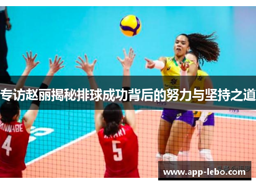 专访赵丽揭秘排球成功背后的努力与坚持之道
