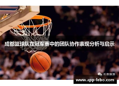 成都篮球队在冠军赛中的团队协作表现分析与启示