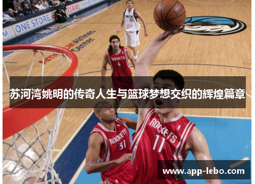 苏河湾姚明的传奇人生与篮球梦想交织的辉煌篇章